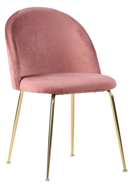 Komplet 2 roza jedilnih stolov House Nordic Geneve
