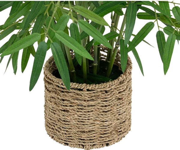 Premium Living Okrasna Rastlina Bamboo