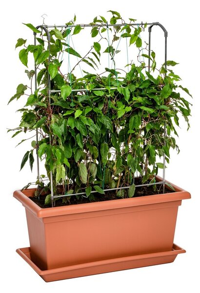 Navpična podpora Gardenico Green Wall Magnus, 80cm