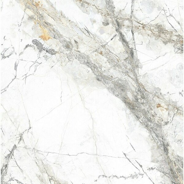 Granitogresne ploščice Marble Visage (60 x 60 cm, Bela/Siva, Sijaj)