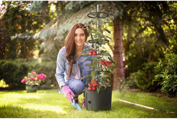 Gardenico Posoda za gojenje paradižnika, pesek, pr. 29 cm