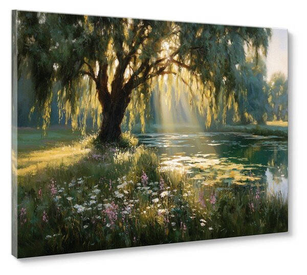 Slika 113x85 cm Sunlit Willow – Styler