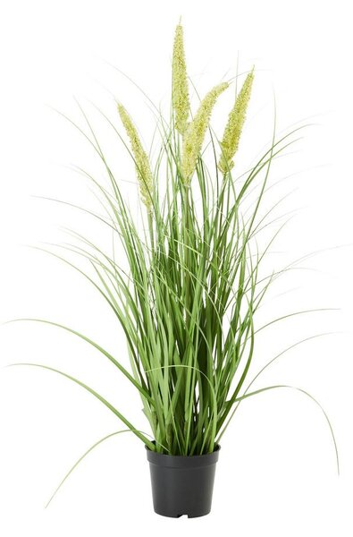 Modern Living Umetna Rastlina Pennisetum I