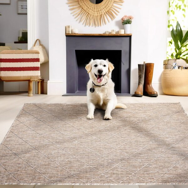 Bež zunanja preproga 120x170 cm Zagora – Ayyildiz Carpets