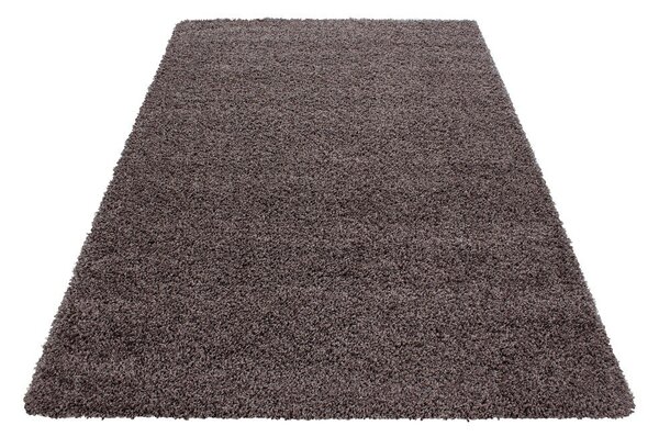 Rjava preproga 80x150 cm Life – Ayyildiz Carpets