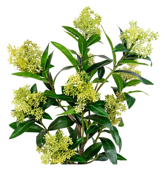 Umetna rastlina Skimmia – House Nordic