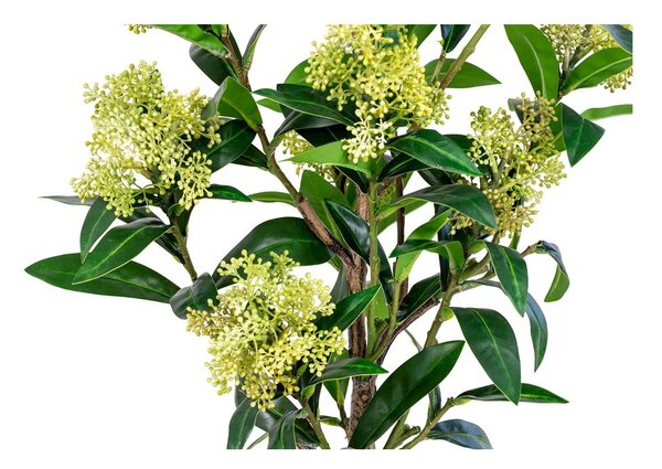 Umetna rastlina Skimmia – House Nordic