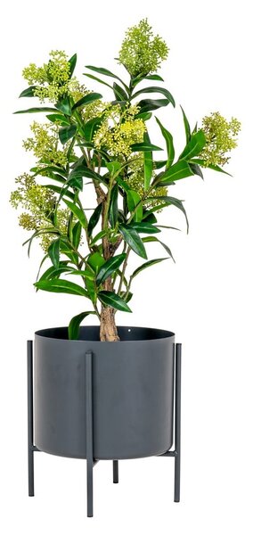 Umetna rastlina Skimmia – House Nordic