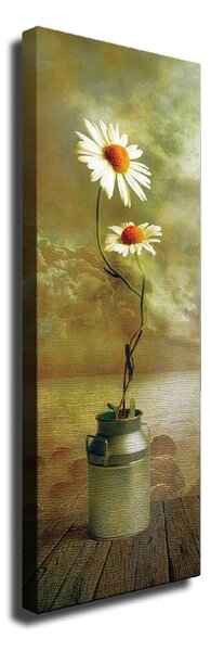 Stenska slika na platnu Daisy, 30 x 80 cm