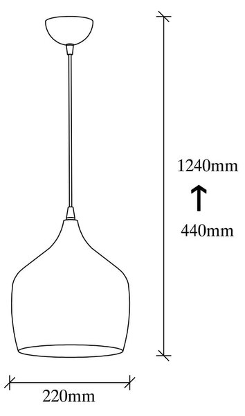 Črna viseča svetilka s kovinskim senčilom ø 22 cm Dodo – Opviq lights