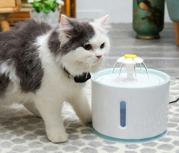Avtomatska senzorska fontana LED - napajalnik za mačke in pse 2,4L