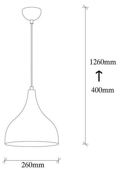 Črna/v bakreni barvi viseča svetilka ø 26 cm Sağlam – Opviq lights