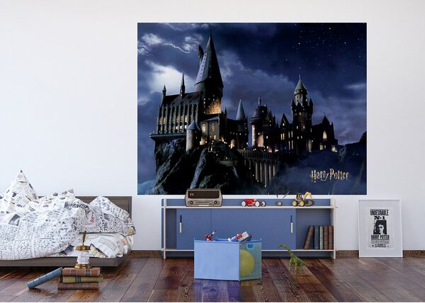 Otroška foto ozadje Harry Potter 252 x 182 cm , 4deli