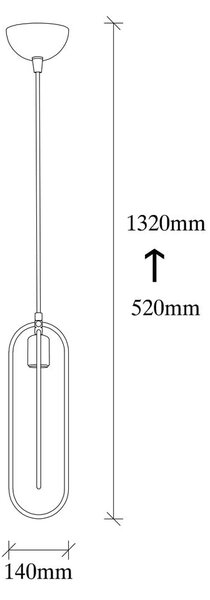 Črna/v zlati barvi viseča svetilka Cerco – Opviq lights