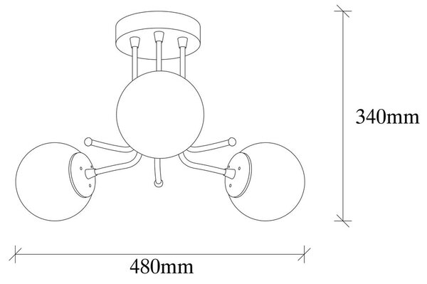 Črna stropna svetilka s steklenim senčilom ø 15 cm Daisy – Opviq lights