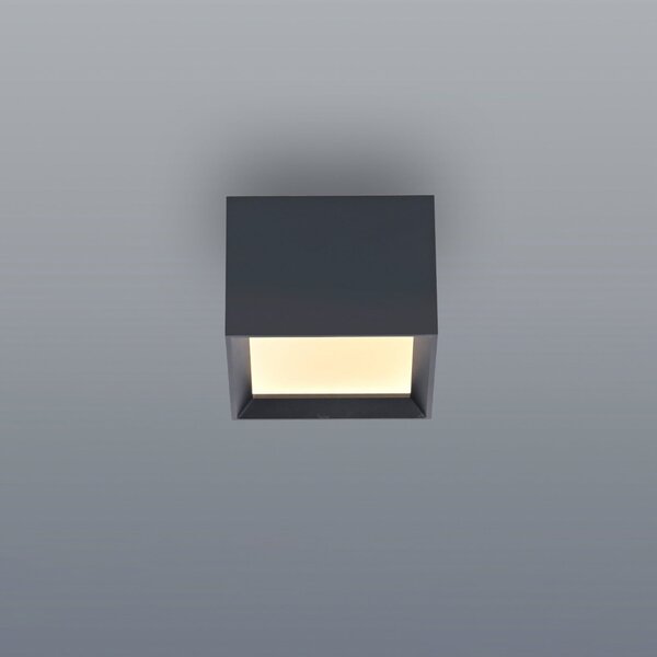 PURE LED-stropna svetilka Manhatten, mystic grey, 1-žarilna, CCT, zatemnjen, Siva, Hodnik, Aluminij, Sodobni