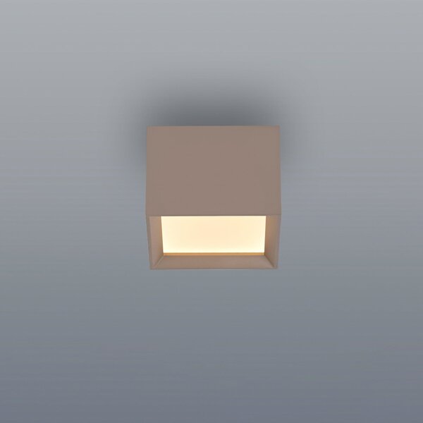 PURE LED-stropna svetilka Manhatten, bronasta, 1-žarilna, CCT, zatemnjen, Bronasta / starinska medenina, Hodnik, Aluminij, Sodobni