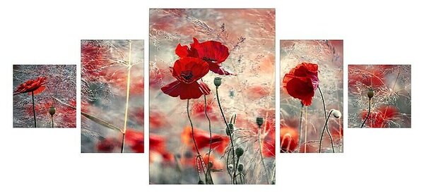 ProArt Young Living Slika na platnu 5-delna (Mak, Š x V: 150 x 70 cm, 5 -del.)