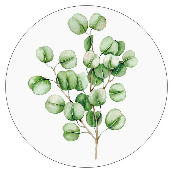 ProArt Steklena slika (Eucalyptus, Premer: 20 cm)