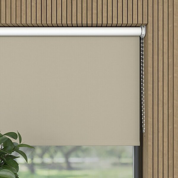 Expo Ambiente Zatemnitveni rolo (Š x V: 60 x 190 cm, Univerzalen)