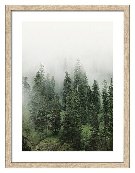 ProArt Slika Slim Scandic (Foggy Trees II, Š x V: 33 x 43 cm)