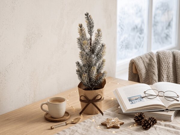 Dekorativna božična smrečica FROSTY TREE v lončku 22 cm