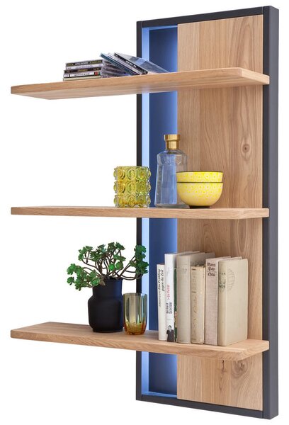 STENSKI REGAL 70/105/25 cm antracit, barve hrasta