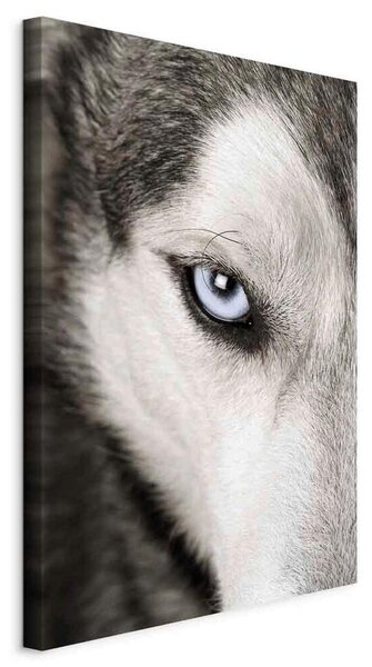 Artgeist Slika Na Platnu Dog's Look