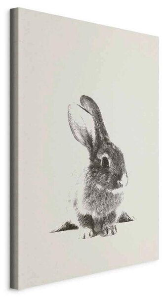 Artgeist Slika Na Platnu Fluffy Bunny