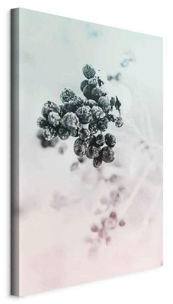 Artgeist Slika Na Platnu Frozen Twig