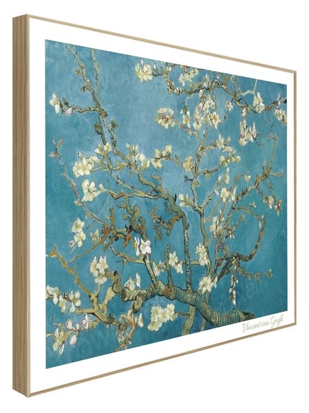 Slika 40x50 cm Van Gogh: Almond Blossoms