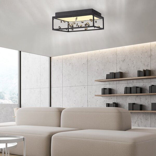 Paul Neuhaus LED-stropna svetilka SKINA, črna, 40 cm, CCT, z daljinskim upravljalnikom za, zatemnjen, Črna, Dnevna soba / jedilnica, Kovina, Sodobni