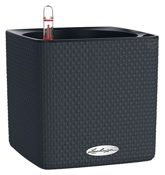 Lechuza Classico Lonec za zelišča Cube (Zunanje dimenzije (Do x Š x V): 17 x 17 x 16 cm, Plastika, Antracit)
