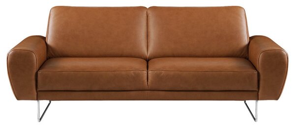2-SED, barve konjaka usnje