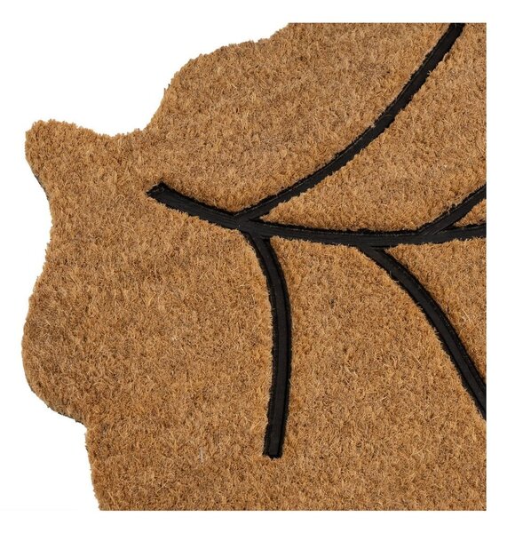 Predpražnik iz kokosovih vlaken 45x75 cm Leaf – Casa Selección