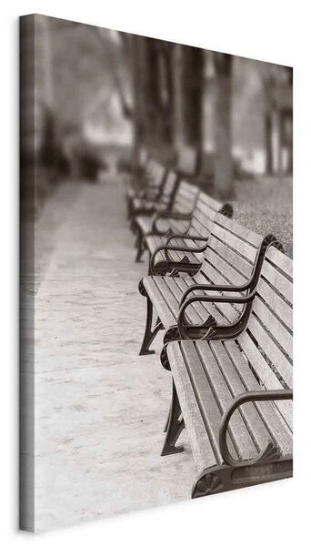 Artgeist Slika Na Platnu Park Benches