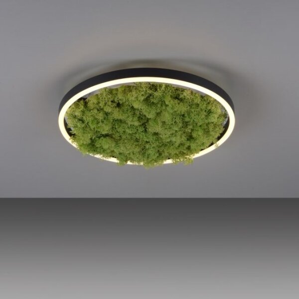 JUST LIGHT. 15391-66 - LED Zatemnitvena stropna svetilka ZELENA RITU LED/20W/230V