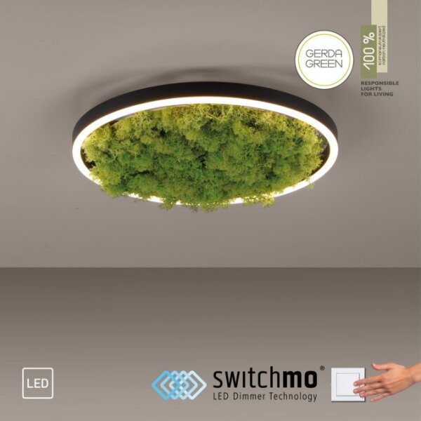 JUST LIGHT. 15391-66 - LED Zatemnitvena stropna svetilka ZELENA RITU LED/20W/230V