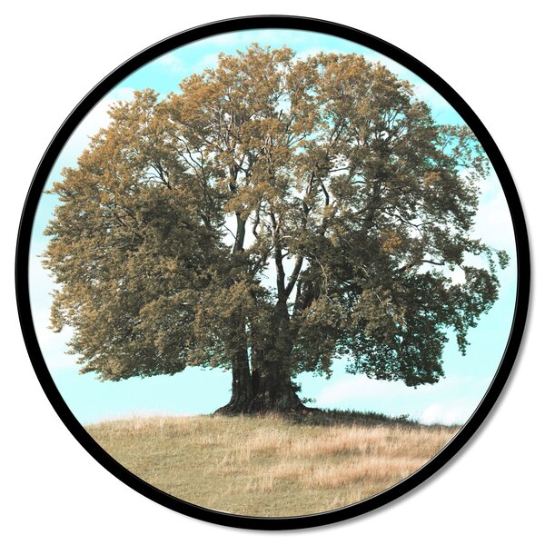Stenska dekoracija Quercia
