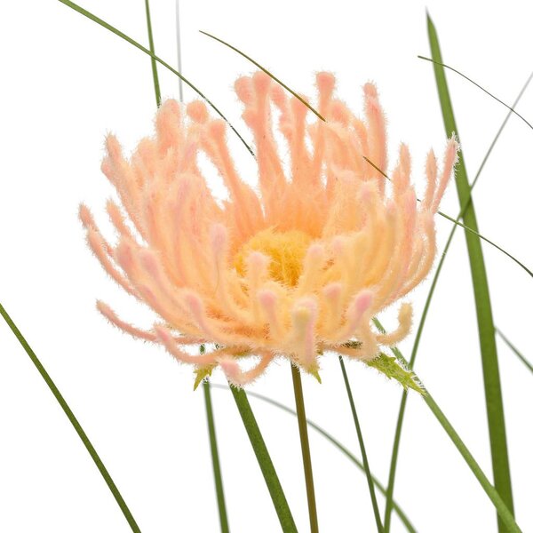 Mömax Šop Trave Blossom I -Paz-