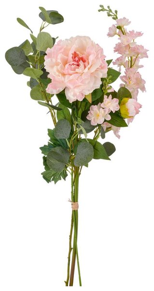 Mömax Potonika Peonie-Mix-Bund Ii -Paz-