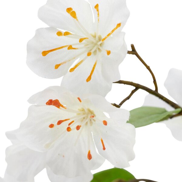 Mömax Veja S Češnjevimi Cvetovi Kirschblüte I -Paz-