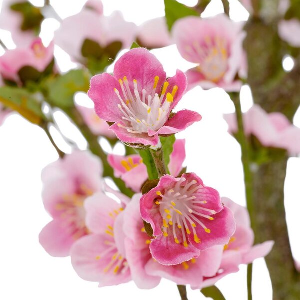 Mömax Umetna Rastlina Kirschblüte I -Paz-