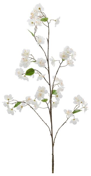 Mömax Veja S Češnjevimi Cvetovi Kirschblüte I -Paz-