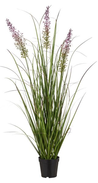 Mömax Šop Trave Blossom I -Paz-