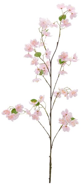 Mömax Veja S Češnjevimi Cvetovi Kirschblüte I -Paz-
