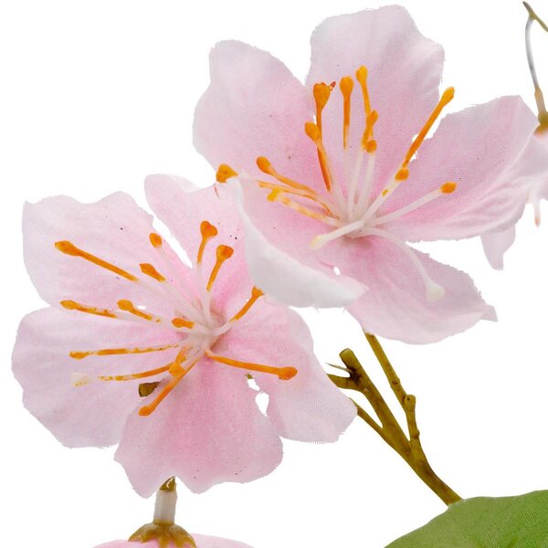 Mömax Veja S Češnjevimi Cvetovi Kirschblüte I -Paz-