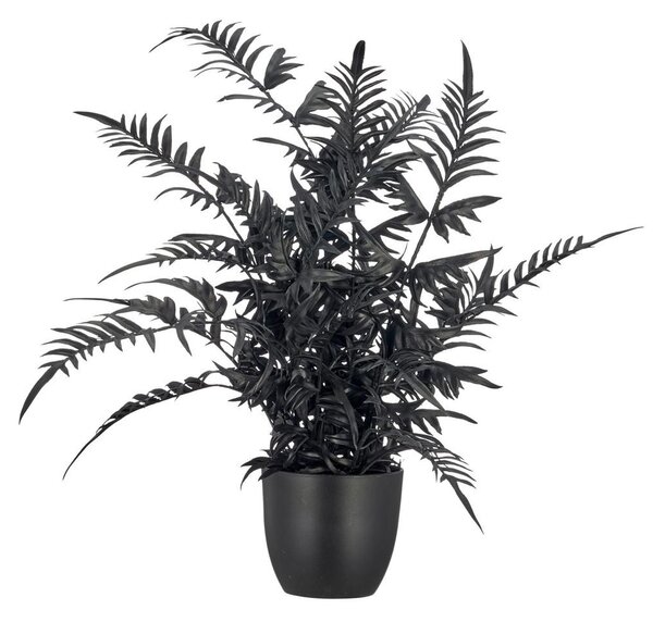 Mömax Umetna Rastlina Pteris Ii -Paz-