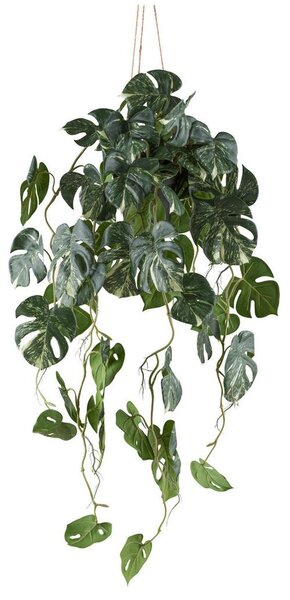 Mömax Umetna Rastlina Splitphilodendron Ii -Paz-