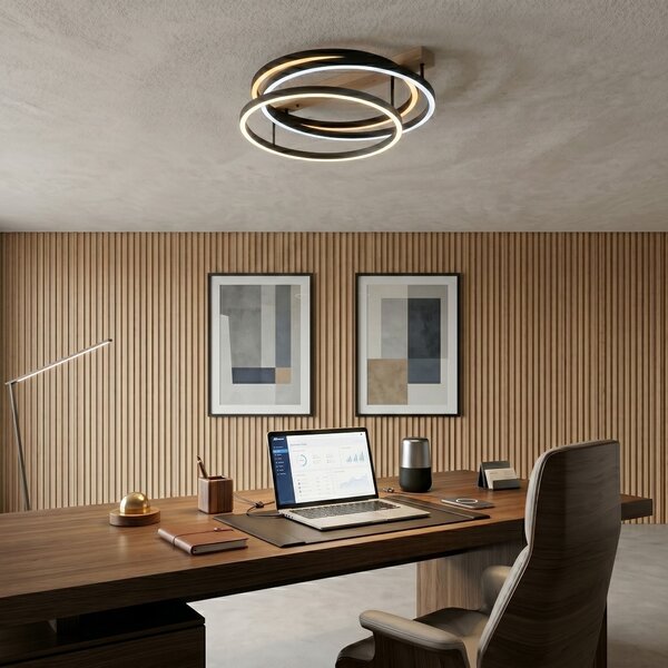 Stropna svetilka LED SWE058-C BLACK